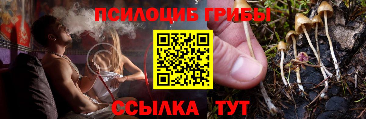Галлюциногенные грибы GOLDEN TEACHER Каменск-Уральский